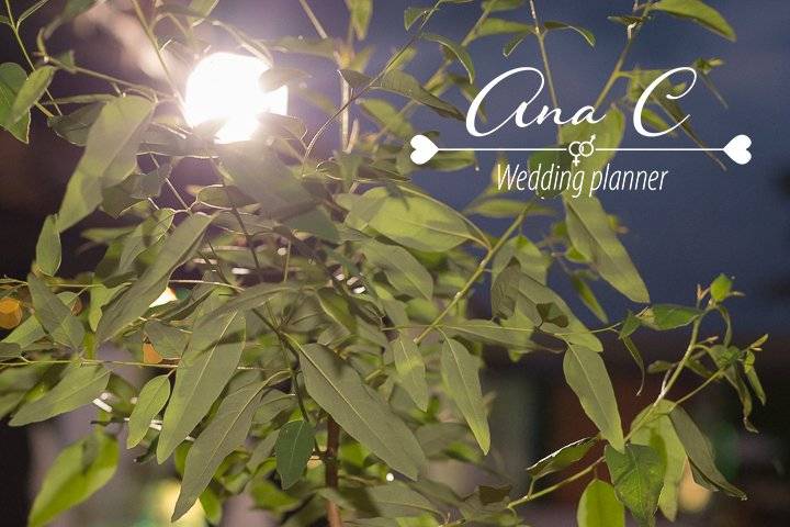 AnaC Wedding Planner