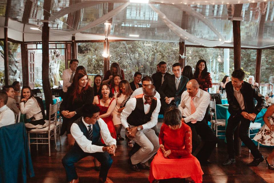 ¡Todos bailan!