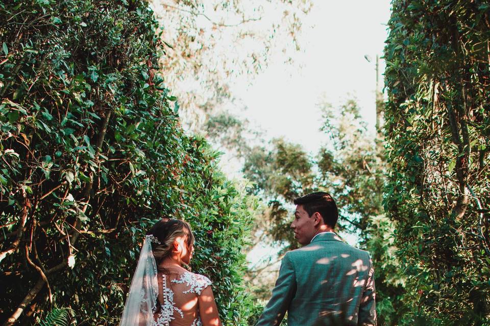 Andrés y Ana pasean