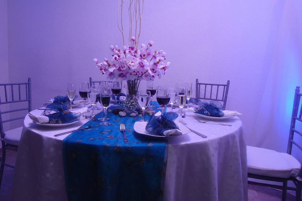 Concepto orquídeas y chamizos