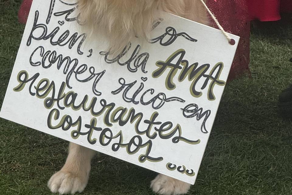 Perritos