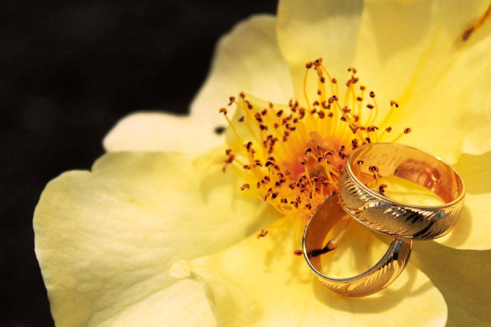 Fotografía boda