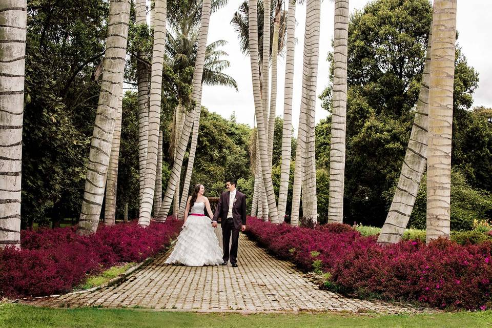 Fotografía boda