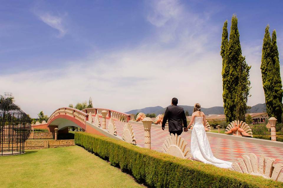 Fotografía boda