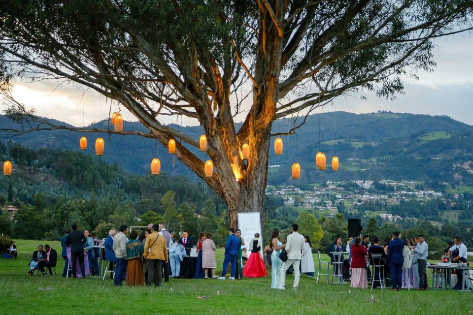 Bodas por Stereo Eventos