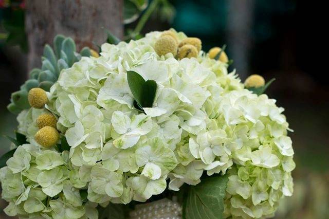 More bouquet novia hortensias