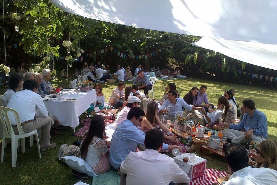 Tipo picnic