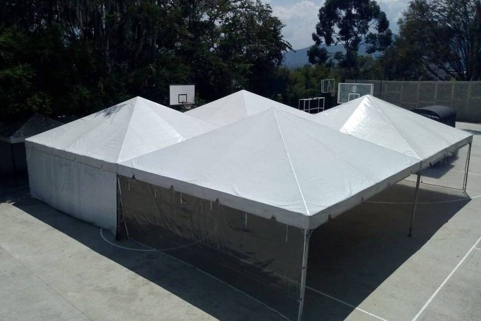 Carpas de 6x6 unidas