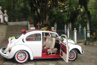 Carros Publioffce
