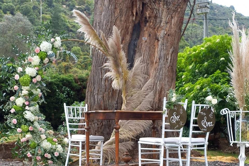 Zona ceremonia árbol