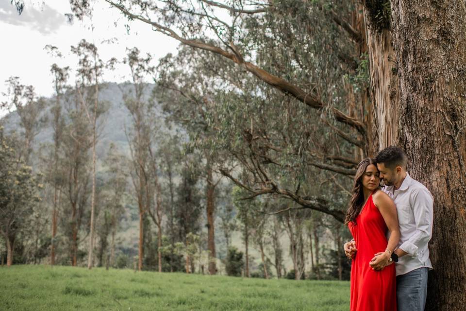 Pre Bodas