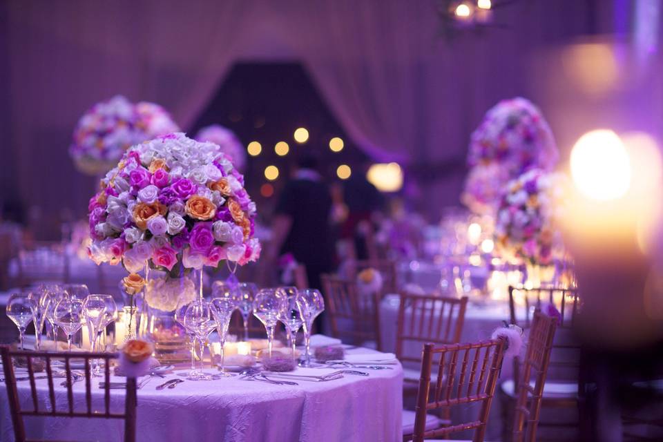 Nativa Eventos y Producciones