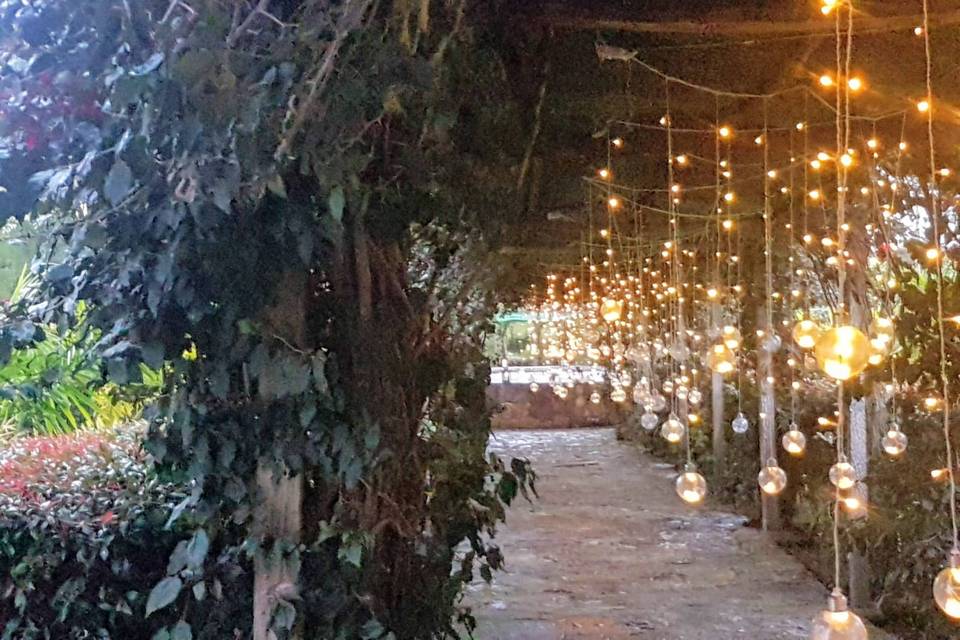 Attimo Wedding Planners