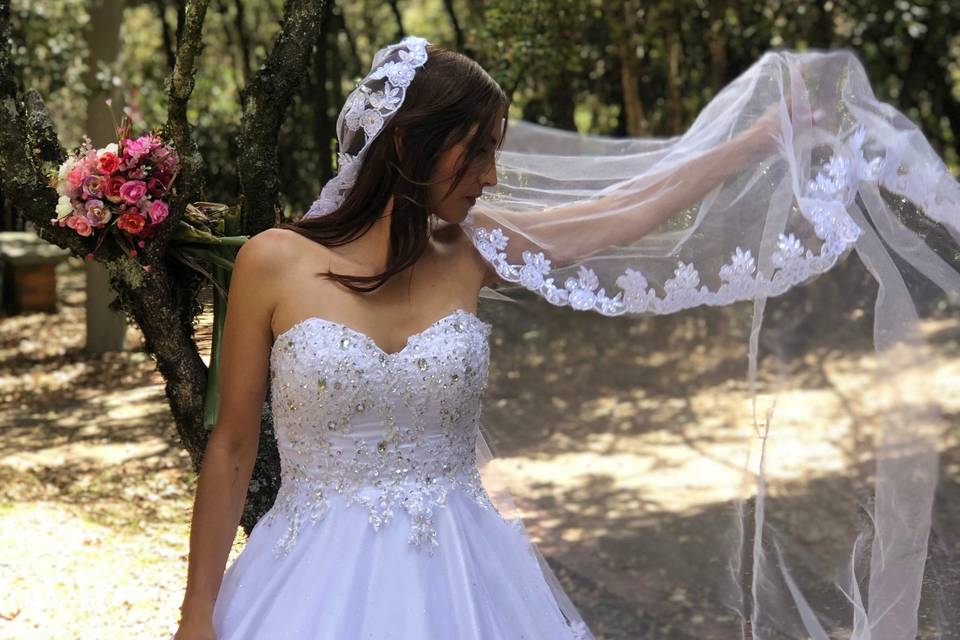 Novias