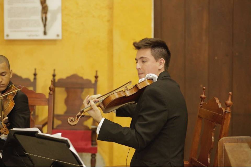 Violín solista