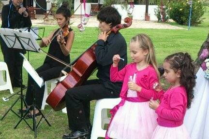 Evento y Boda