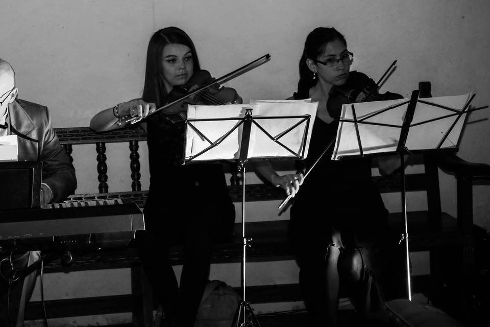 Piano, violín, viola.