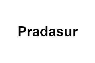 Pradasur