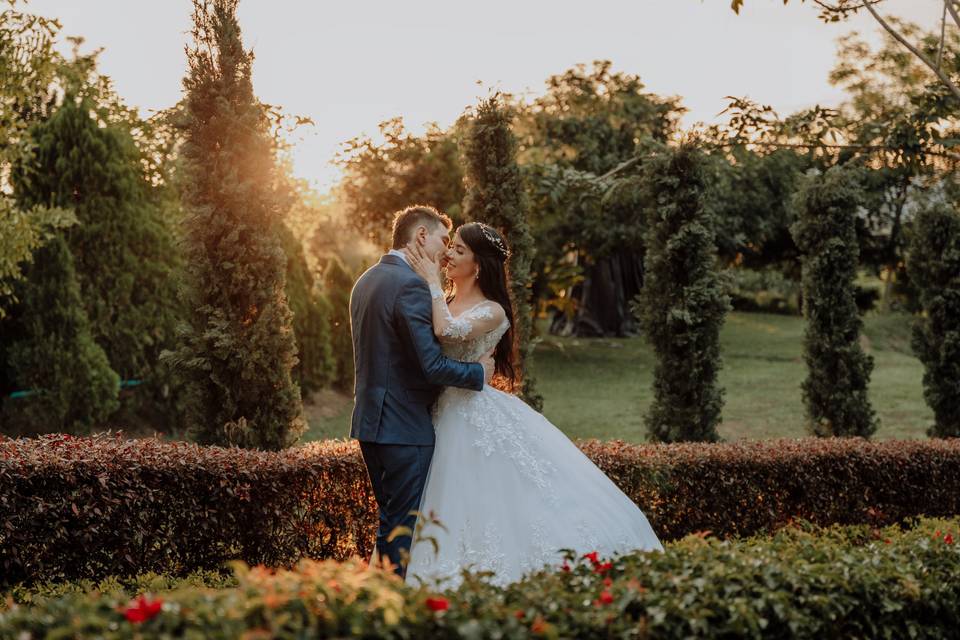 Bodas