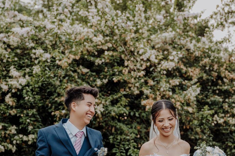Bodas