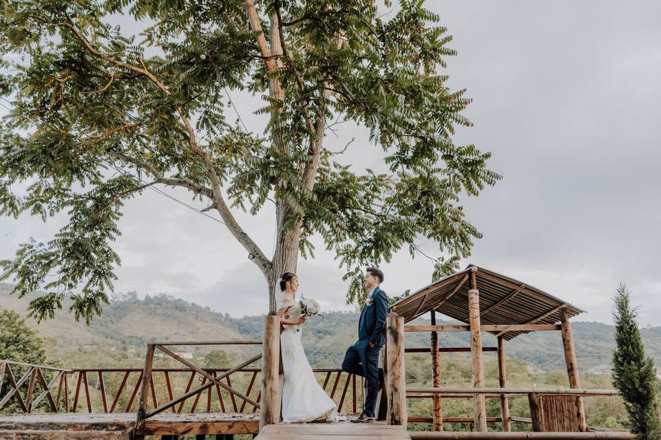 Bodas