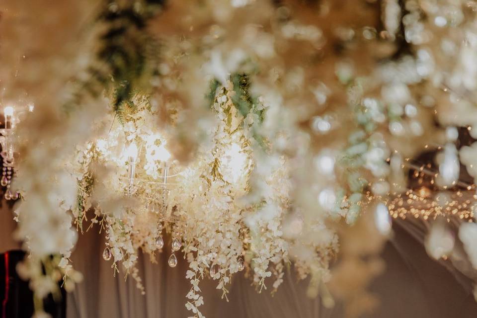 Bodas