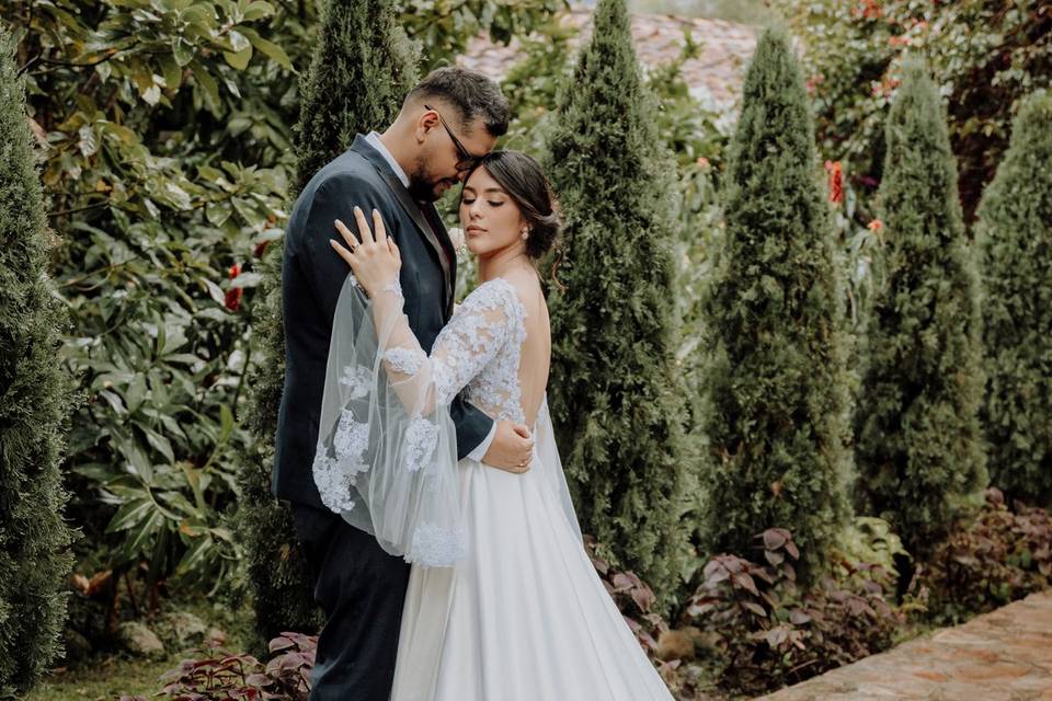 Bodas