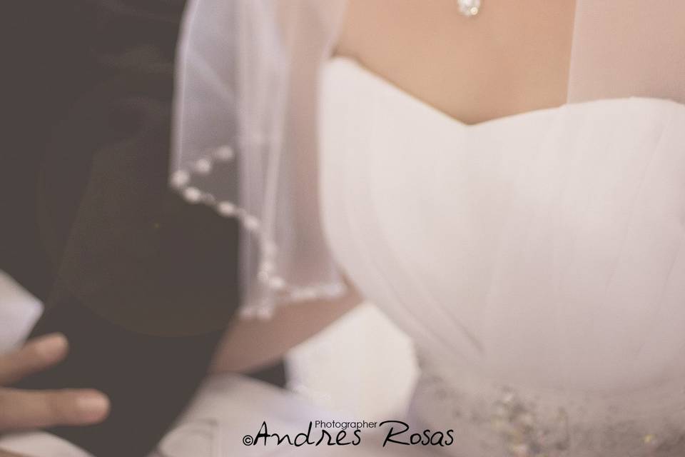 Andres Rosas Photo