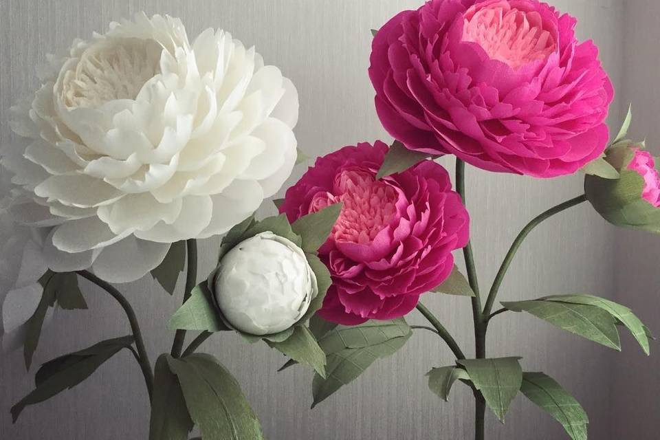 Peonias gigantes