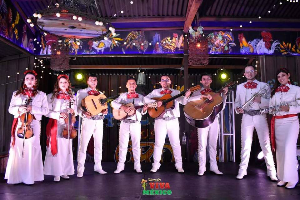 Mariachis Viva México