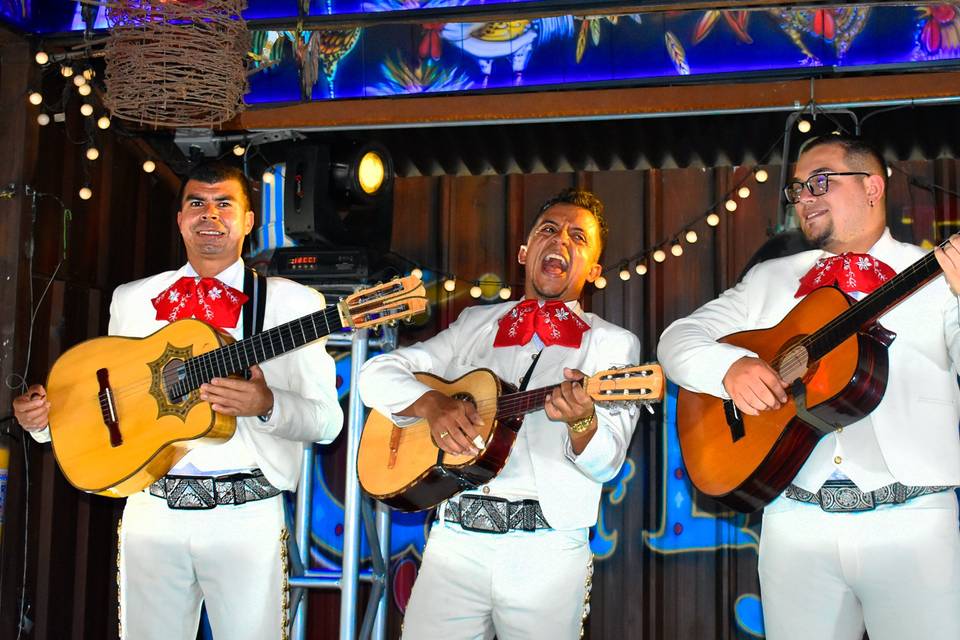 Mariachis Viva México