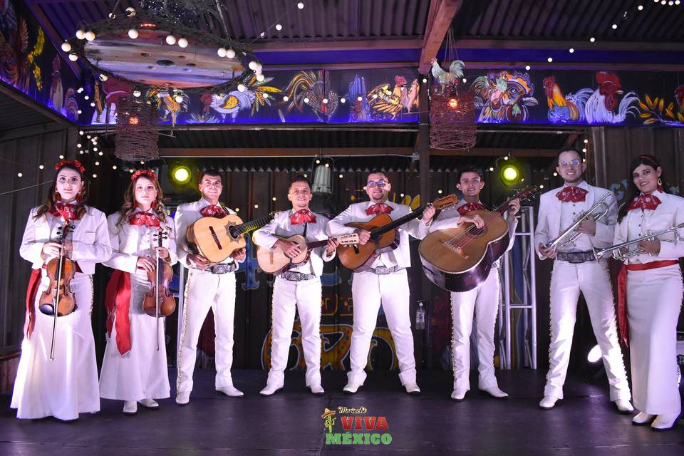 Mariachis Viva México