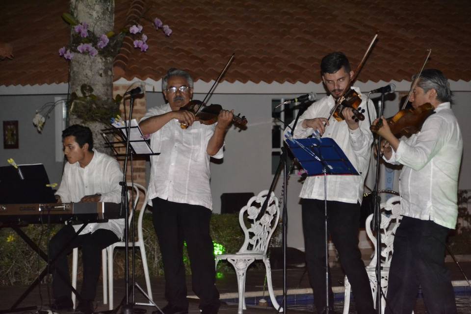 En concierto