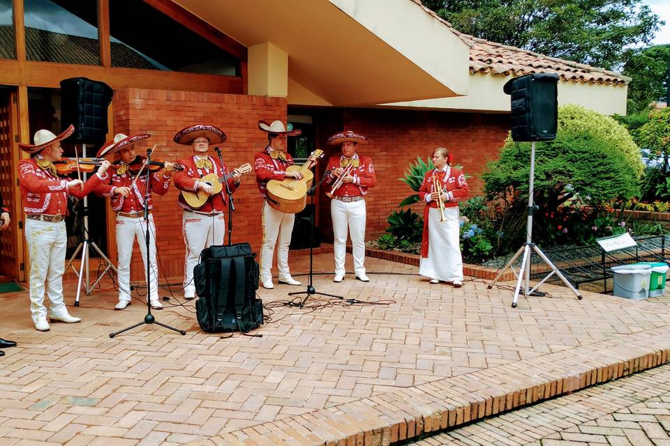 Serenata mariachis