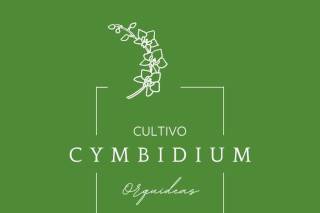 Cymbidium Orquídeas