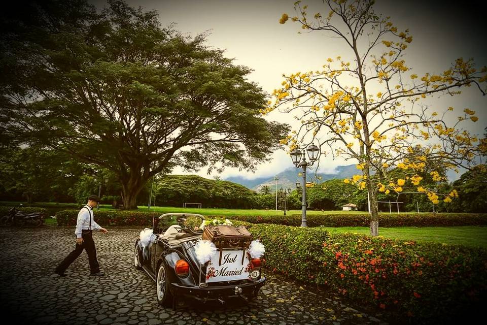 Lorenzo & Jerónimo VW Wedding Car
