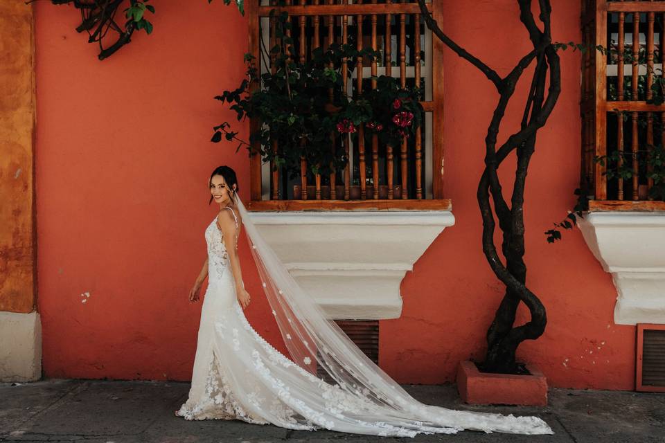 Bridal Portraits