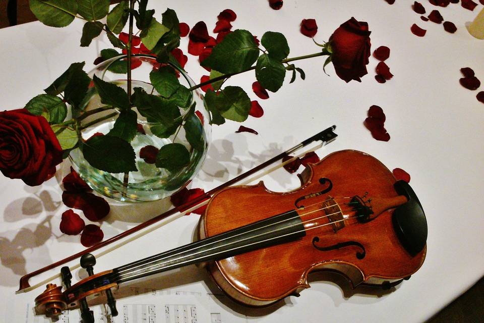 Violines eventos