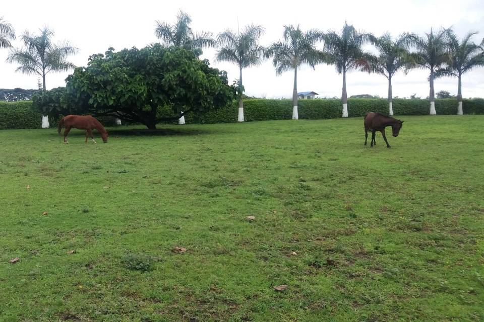 Destinos de naturaleza