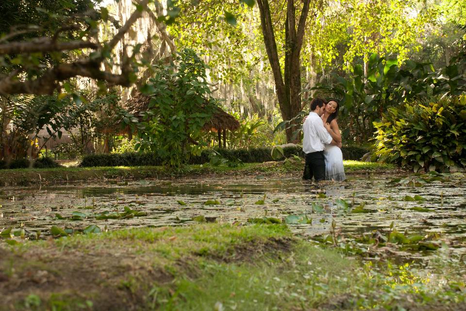 Trash the dress