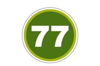 Logo 77 TravelSpot