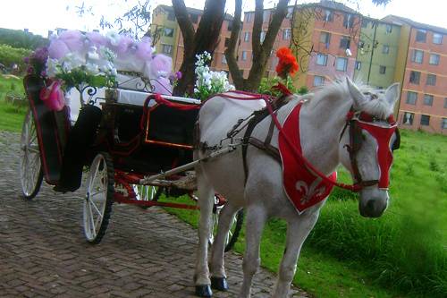 Coche de caballos