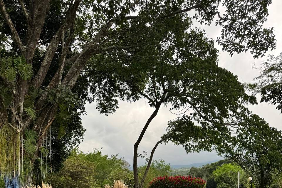 Ceremonia de 4 elementos