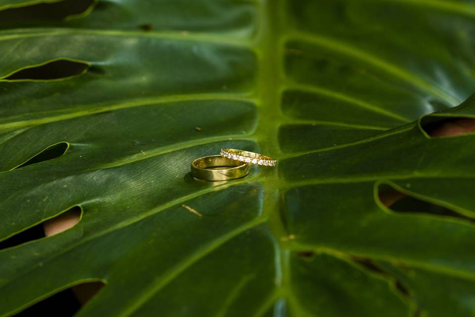 Anillos en una hoja