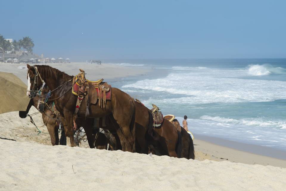 Los cabos mexico