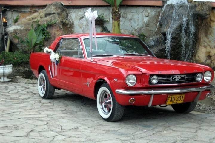 Mustang Rental
