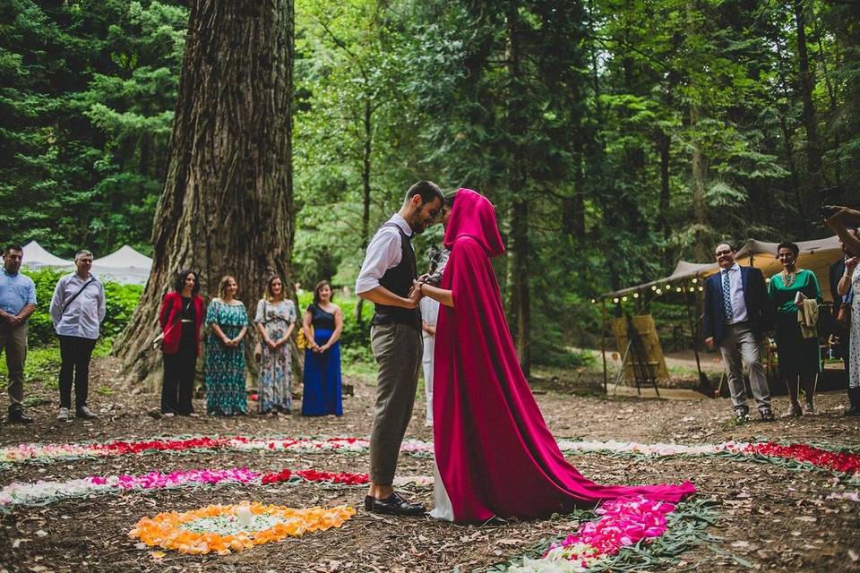 Boda Ceremonia de solsticio