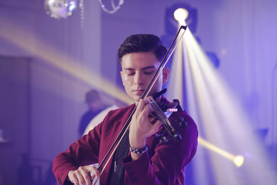 Saul Violinista