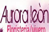 Floristeria Aurora Leon