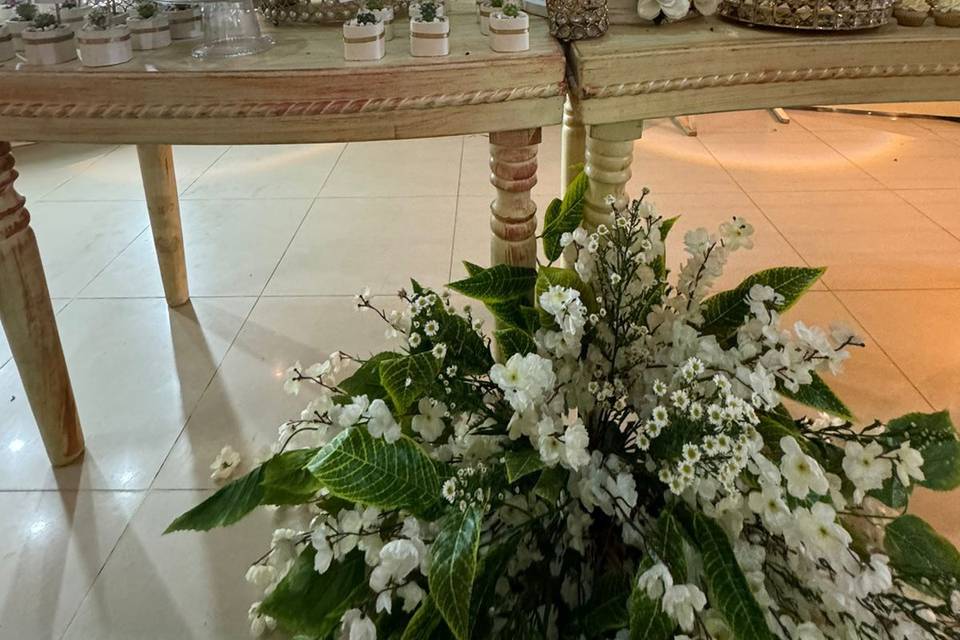 Bodas Montería